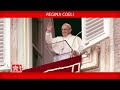 Regina Coeli 31 mayo 2020 Papa Francisco