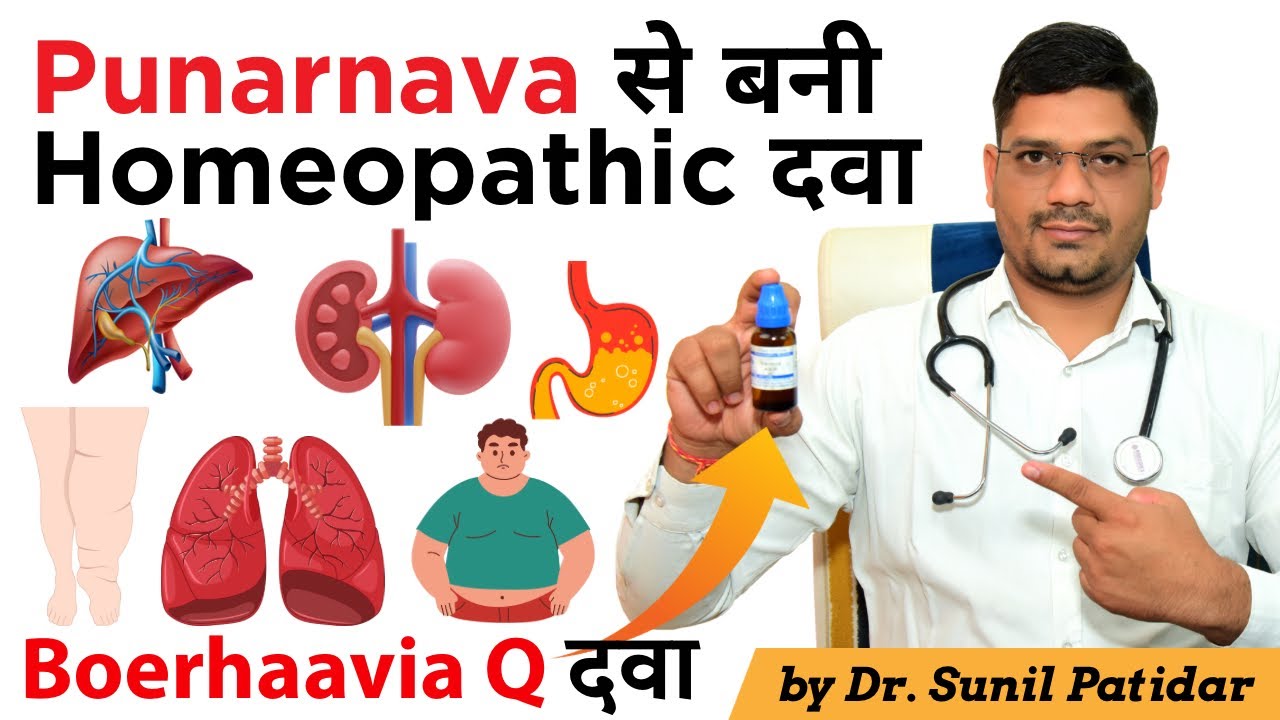 Punarnava Q Homeopathic Medicine for Liver, Kidney, Lungs and More... | Dr. Sunil Patidar 