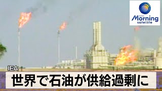 IEA　世界で石油が供給過剰に【モーサテ】（2024年2月16日）