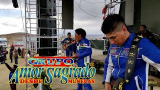 Video thumbnail of "Amor Sagrado - Misk'i Plato - En Vivo - Puyo Puyo - Video Oficial full HD Discos Zuma."