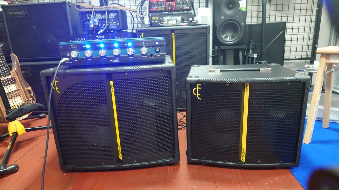 ベース Epifani DIST3 1x10 Carbon Style Epifani DIST3 Dual