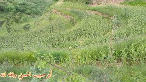 ما تيسر من سورة يس... وائل الحسني وفقه الله..