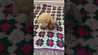 Getting Ready For An Outing