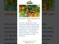 నారింజ సాగు: దీర్ఘకాలిక పెట్టుబడితో అధిక లాభాలు #telugunews #telugu #tsfarmers