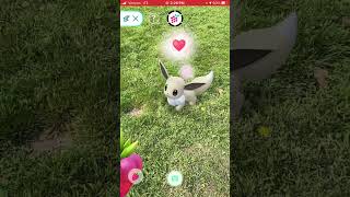 Feeding My Shiny Eevee | Pokémon Go Community Day