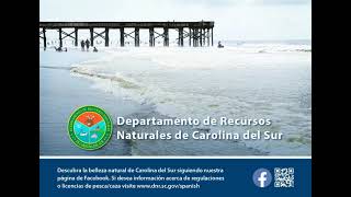 DNR SC