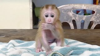 Harry Cute Boy Taking Bath In Summer Day And Take Off Diaper To Get Healthy