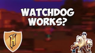 My Watchdog report worked! (Hypixel Network)