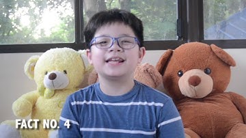 My First Video | My Channel Intro / 5 Facts About Myself