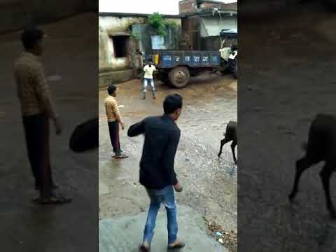 indian-village-childhood-game-and-incidents-funny-video--the-viral-video