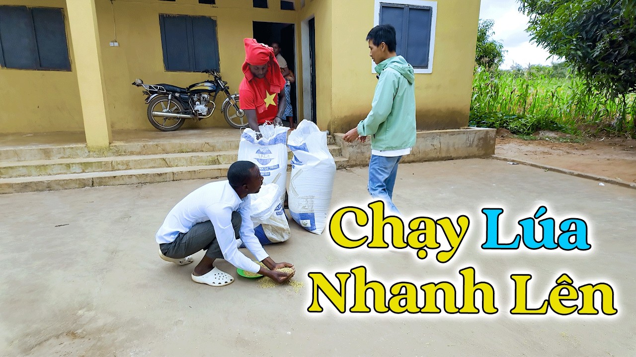 Đông Paulo || Anh Bác Sĩ Lần Đầu Biết Đến Cảm Giác Chạy Lúa Trời Mưa