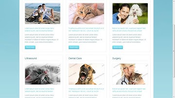 Vet Responsive Website Template