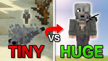 Minecraft BUT Every Time I Take Damage My Size Randomly Changes