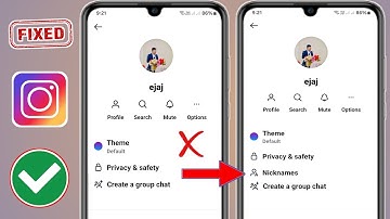 How To Fix Instagram Chat Nickname Option Not Showing Problem (2025) |Instagram Nickname Not Showing