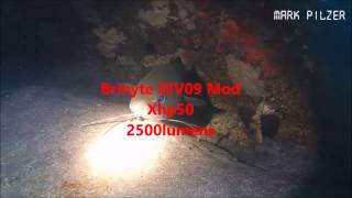 Brinyte DIV09 Xhp50 modification