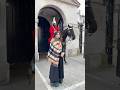 Don’t Cross the White Line #horseguards #tourist  #kingsguard  #youtubeshorts  #history  #fyp  #omg