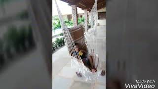 Um Dia Divertido Na Piscina