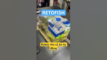 Hành trình tạo nên bộ Kit RETOFISH - Robot cho cá ăn tự động #robot #stem #retobots #retofish