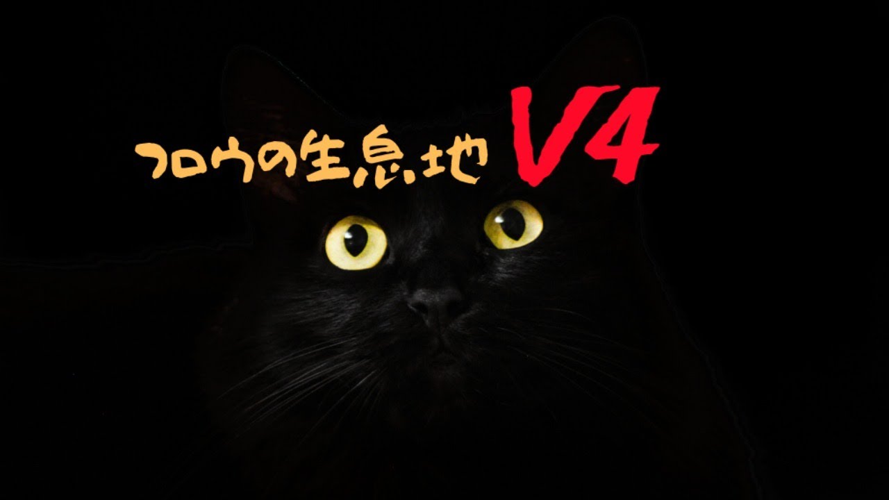 V4 Mmo 質問大歓迎 V4盛り上げたい 韓国版の面白動画 新職マエストロ 紹介 イブリン４ ナイト21万 Youtube