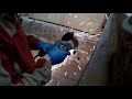 Лестница в яму . Бюджетный вариант
