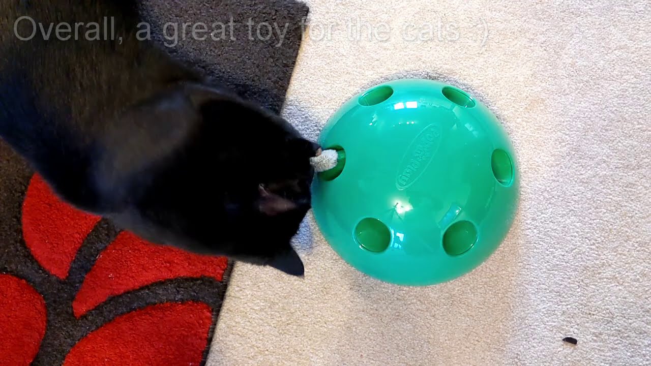 Review of JML's Pop n Play Cat Toy YouTube