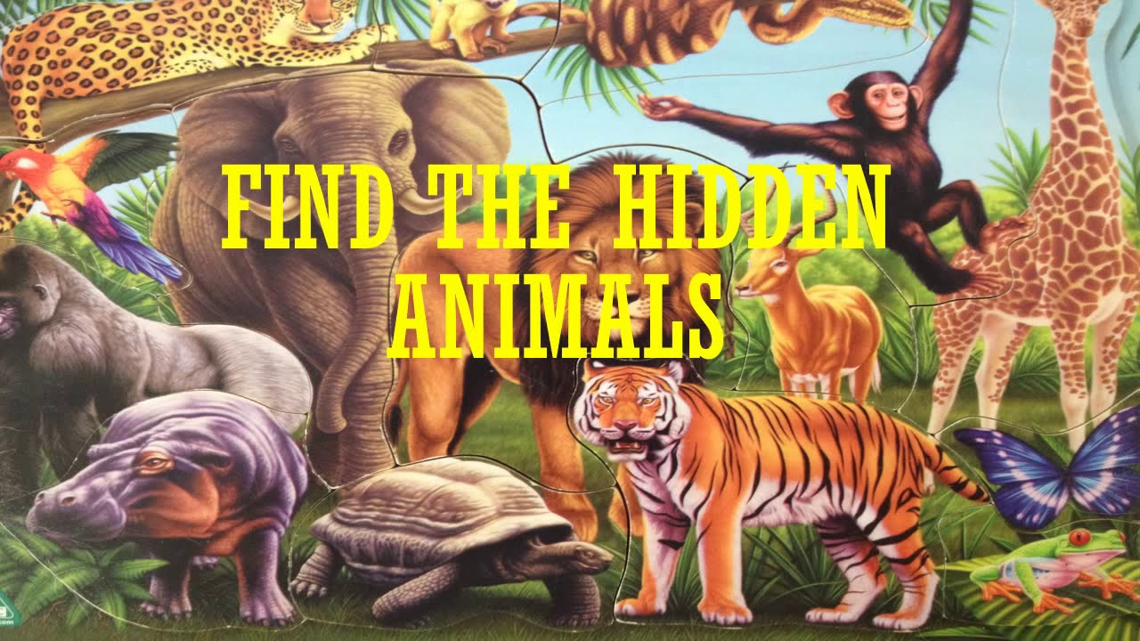 Hidden Animals : Photo Hunt . Hidden Object Games for mac instal free