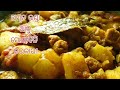 ଅମୃତ ଭଣ୍ଡା, ଆଳୁ,ସୋୟାବିନ ତରକାରୀ !! ଥରେ ଏମିତି ବନାନ୍ତୁ ମାଛ, ମାଂସ ବି ଫିକାପଡିବ!! ଭାତ, କିମ୍ବା ରୁଟି ସବୁଥିରେ