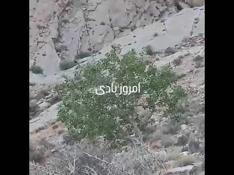 باد نشانه تغییر هواست هوا در حال خنک شدن