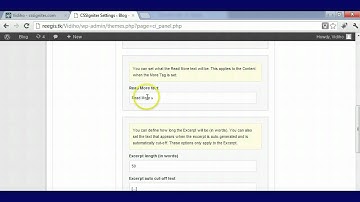 Vidiho Wp Theme Tutorial [Cssigniter]