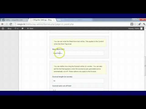 Vidiho Wp Theme Tutorial Cssigniter 