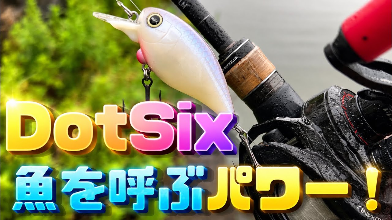 【バスフィッシング】大雨後の大増水した琵琶湖で、オヒラとDotSixで攻める！加藤さんの力作はパワーが違う！？