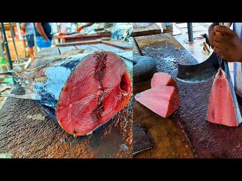 How To Perfect Cut Tuna Tail | Fish Cutting Skill | Unique Live Tuna Fish Cutting Performance Asmr