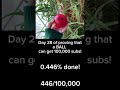 Day 28 of proving that a BALL can get 100,000 subs! #shorts #viral #redsmileyball