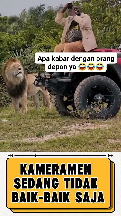 Lagingapainbang #shortsvideo #lucu #ngkak #ngakak  #short #shortsviral qqw we