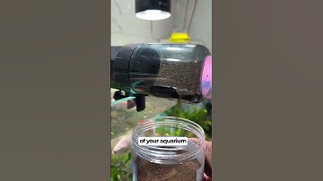 Automatic Fish Feeder For your Aquarium