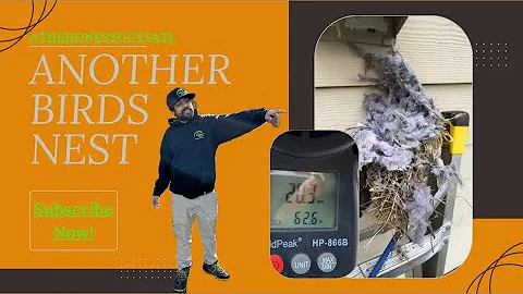 Oddly Satisfying Dryer Vent Cleaning - And we found another birds nest