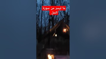 ما تيسر من سورة النمل