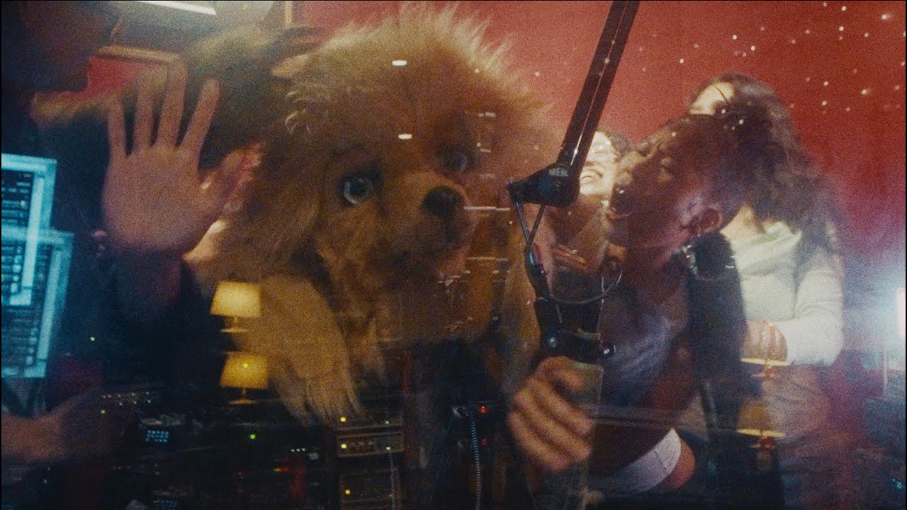 Mr. Big Dog, Please Press Play