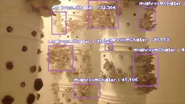 Oasis Grow Vision Module & Machine Learning Video