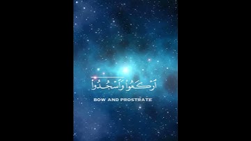 تلاوة عطرة للقارئ عبد الرحمن مسعد تريح القلب