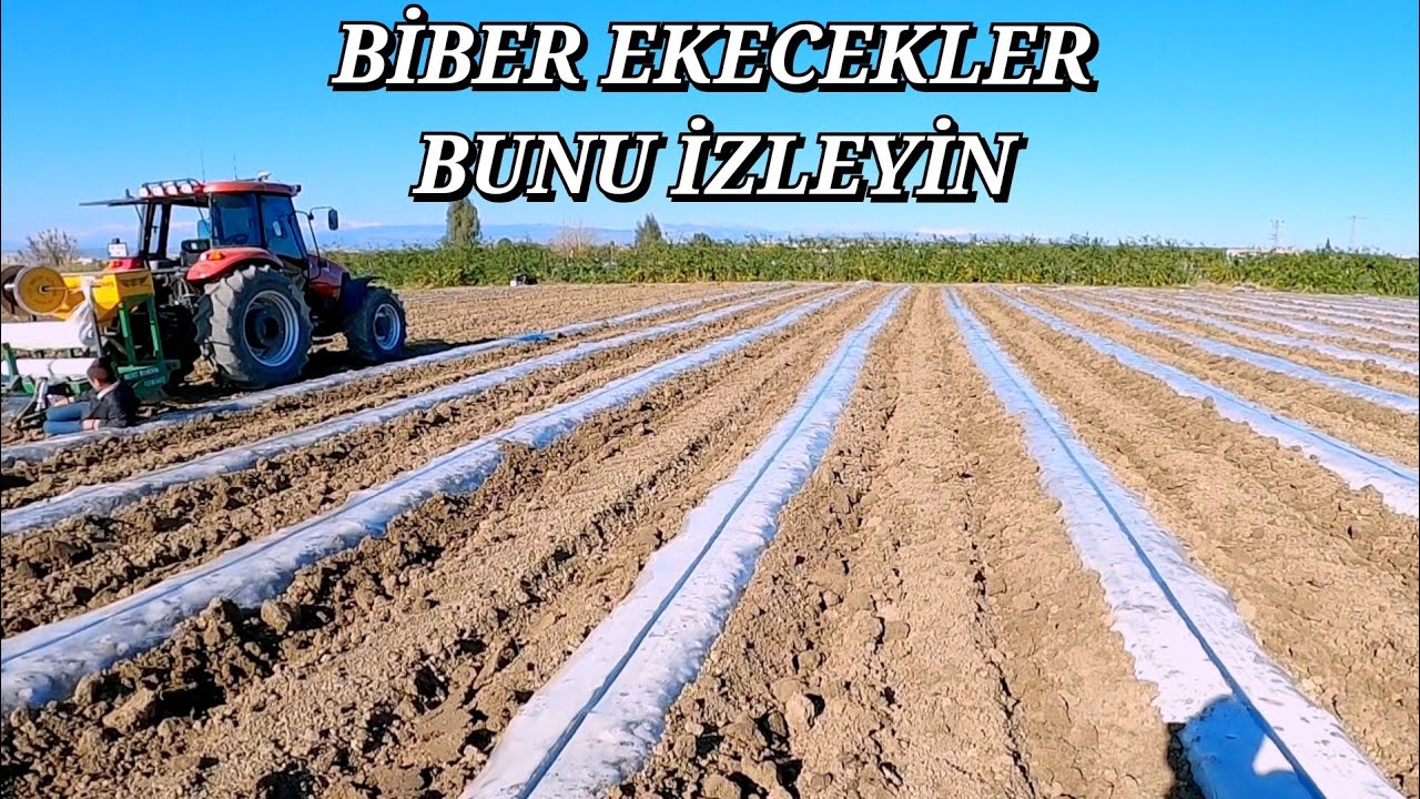 BU SENE BİBER EKECEKLER BUNU MUTLAKA İZLEYİN