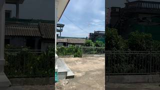 diều cánh cốc mini từ que nhang