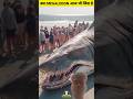 क्या Megalodon आज भी जिंदा है #megalodon​ #shark​ #wildlife​ #suryakant #savesharks