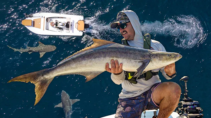 INSANE DAY Fishing Big Cobia, Kingfish, and Sailfish | Tasty Blackened Cobia