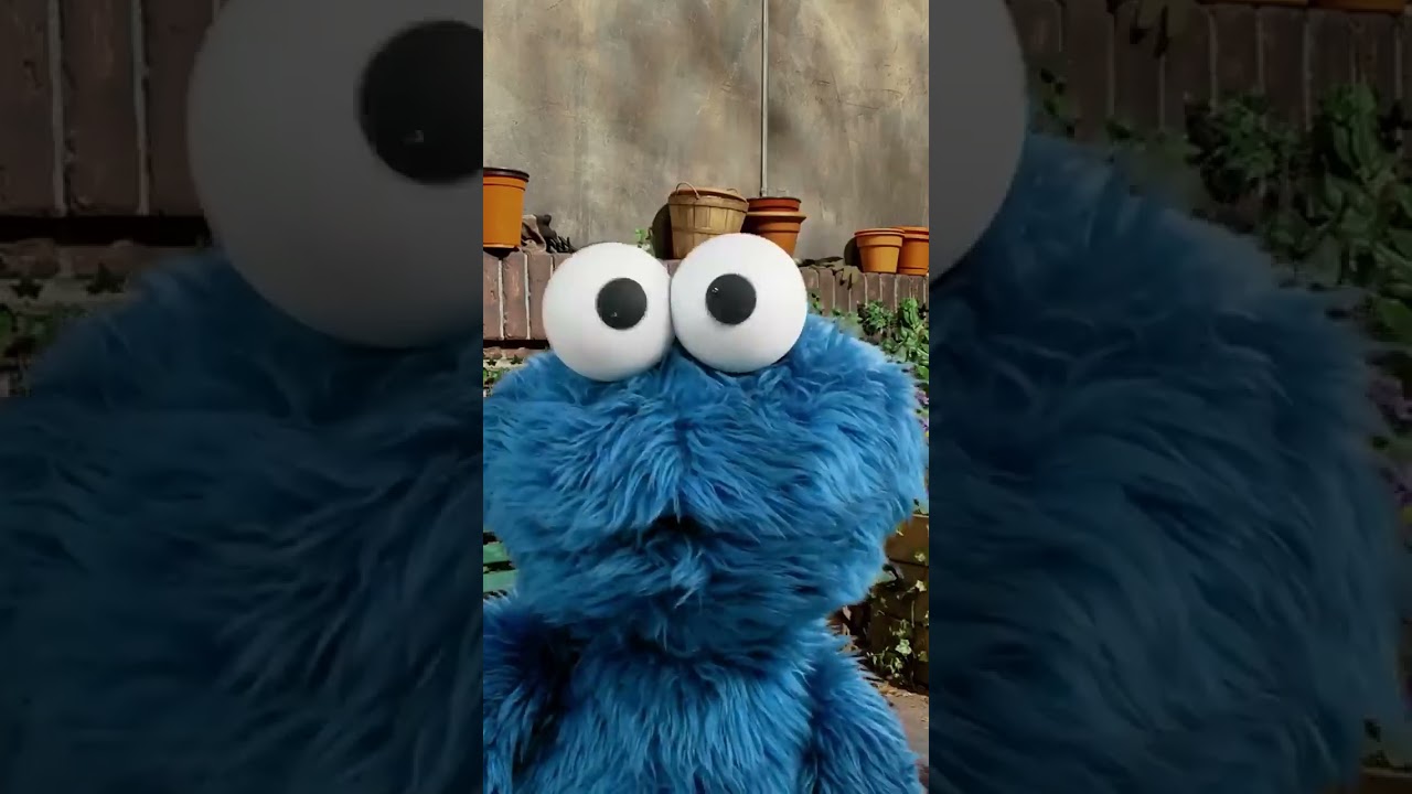 クッキー大好きクッキモンスター🍪💖 #クッキーモンスター #クッキー好き #赤ちゃん #セサミストリート #shorts