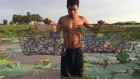 smart boy make easy deep hole crab trab - how to make crab trap