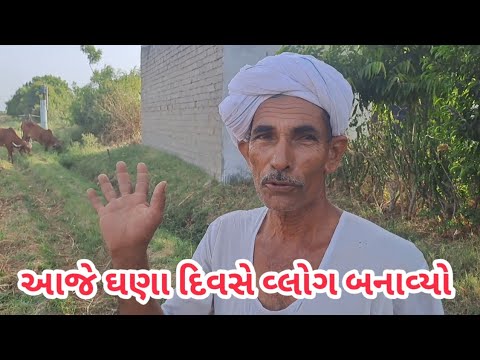 આજે ઘણા દિવસ પછી વ્લોગ બનાવ્યો / ગુજરાતી ફેમિલી વ્લોગ 