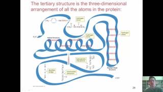 Chapter 23 – Protein Chemistry: Part 10 of 10