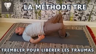 TRE - Les 7 Exercices étapes par étapes  - Thierry Zibi - Français