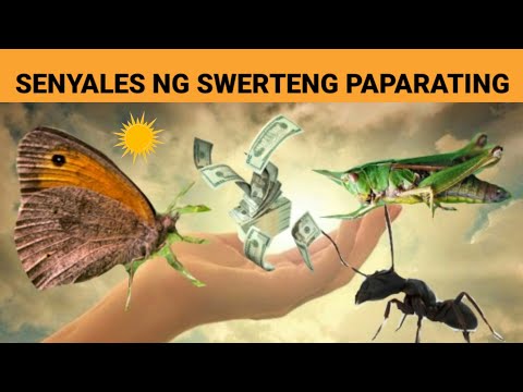 Video: Ano Ang Mga Palatandaan Na Nakikilala Ang Mga Tao Sa Mga Hayop?